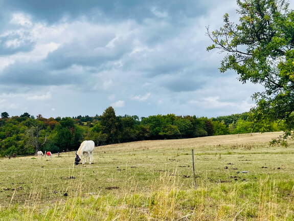 22-09-10 16-15-44 1937